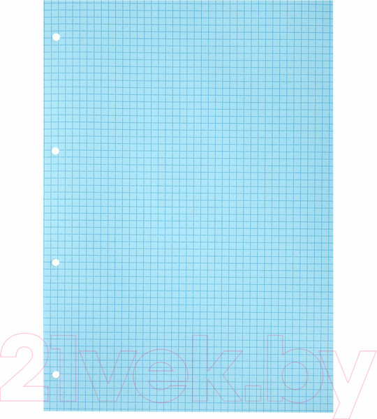 Изображение товара Сменный блок листов Brauberg А4 / 404519 (120л, 4цв)