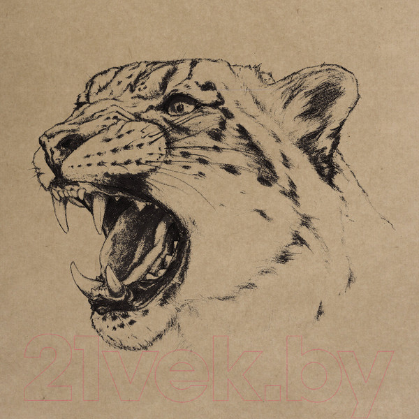 Изображение товара Набор бумаги для рисования Brauberg Art Classic / 112482 (20л)