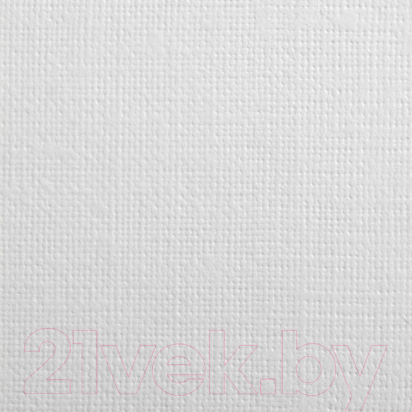 Изображение товара Набор бумаги для рисования Brauberg Art Classic. Холст / 125222 (10л)