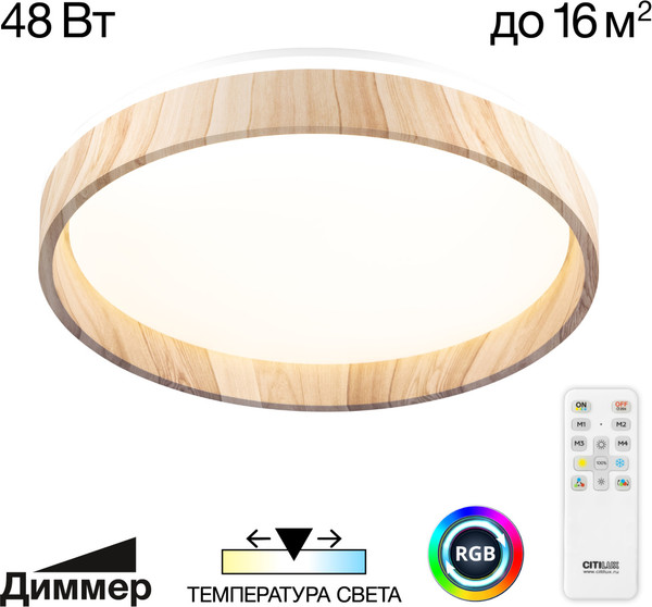 Изображение товара Потолочный светильник Citilux Enzo CL753352G