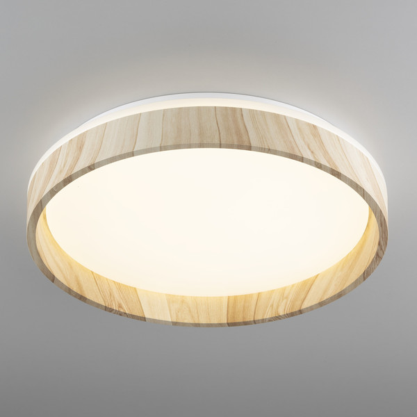 Изображение товара Потолочный светильник Citilux Enzo CL753352G