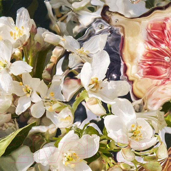 Изображение товара Туалетная вода Guerlain Aqua Allegoria Nerolia Vetiver (75мл)