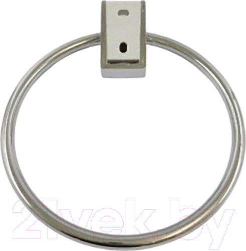 Изображение товара Держатель для полотенца Wisent WP2704