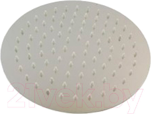 Изображение товара Лейка верхнего душа Wisent WP303-20