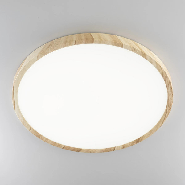 Изображение товара Потолочный светильник Citilux Бейсик CL738322V