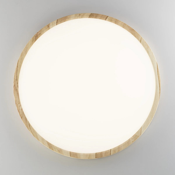 Изображение товара Потолочный светильник Citilux Бейсик CL738322V