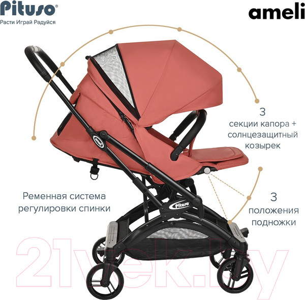 Изображение товара Детская прогулочная коляска Pituso Ameli / G2001  (морозная ягода)