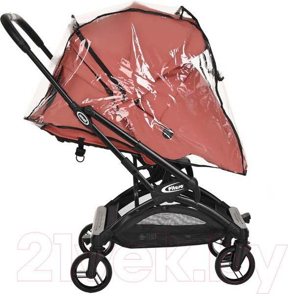 Изображение товара Детская прогулочная коляска Pituso Ameli / G2001  (морозная ягода)