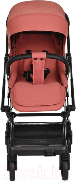 Изображение товара Детская прогулочная коляска Pituso Ameli / G2001  (морозная ягода)