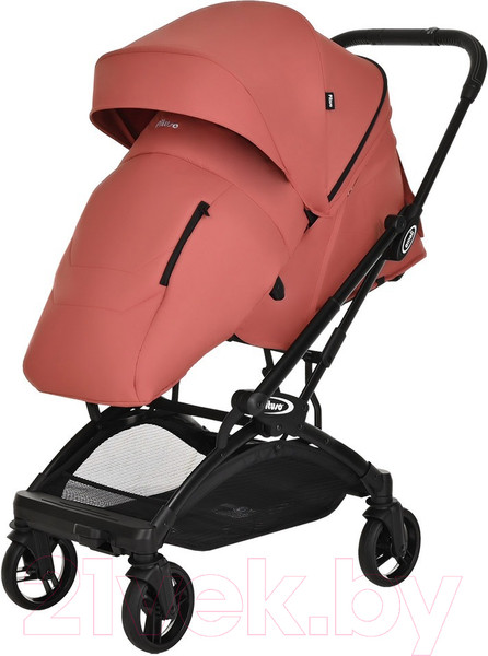 Изображение товара Детская прогулочная коляска Pituso Ameli / G2001  (морозная ягода)