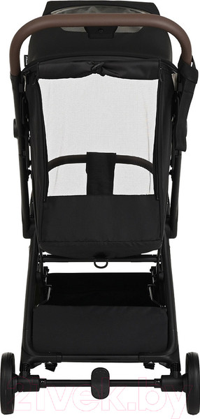 Изображение товара Детская прогулочная коляска Pituso Matrix / A19  (черный)