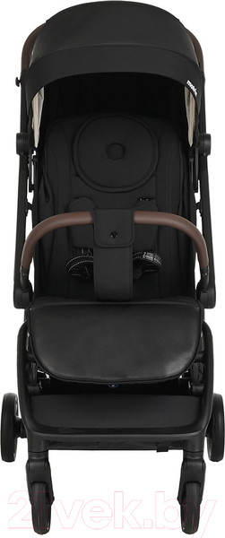 Изображение товара Детская прогулочная коляска Pituso Matrix / A19  (черный)