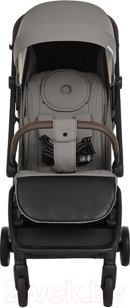 Изображение товара Детская прогулочная коляска Pituso Matrix / A19 (графит)