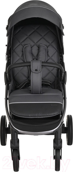 Изображение товара Детская прогулочная коляска Pituso Ruta / BD206 (темно-серый)