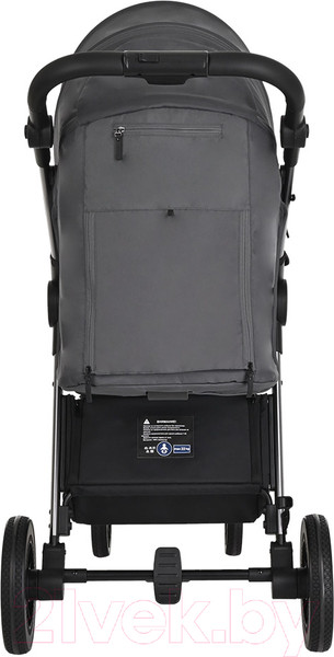 Изображение товара Детская прогулочная коляска Pituso Ruta / BD206 (темно-серый)