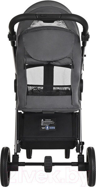 Изображение товара Детская прогулочная коляска Pituso Ruta / BD206 (темно-серый)