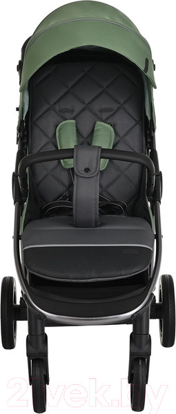 Изображение товара Детская прогулочная коляска Pituso Ruta / BD206 (зеленый)