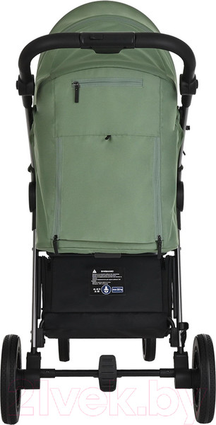 Изображение товара Детская прогулочная коляска Pituso Ruta / BD206 (зеленый)