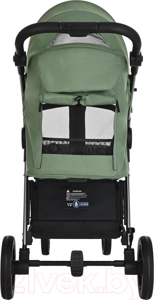 Изображение товара Детская прогулочная коляска Pituso Ruta / BD206 (зеленый)