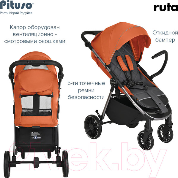 Изображение товара Детская прогулочная коляска Pituso Ruta / BD206 (оранжевый)