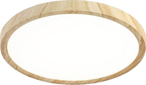 Изображение товара Потолочный светильник Citilux Бейсик CL738242V