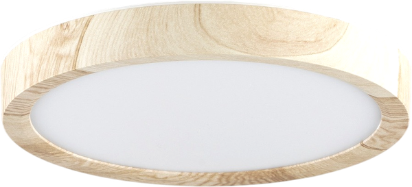 Изображение товара Потолочный светильник Citilux Бейсик CL738122N