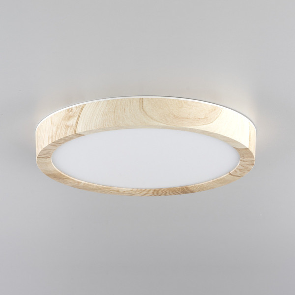 Изображение товара Потолочный светильник Citilux Бейсик CL738122N