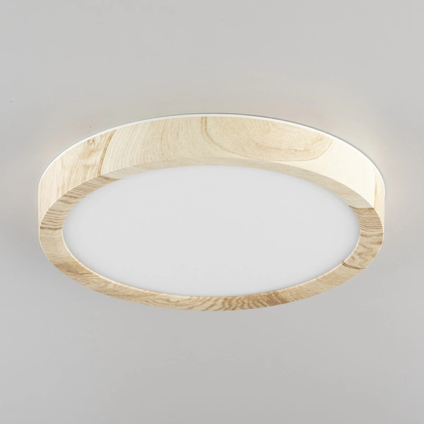 Изображение товара Потолочный светильник Citilux Бейсик CL738122N