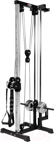 Изображение товара Силовой тренажер Alpin Wave GYM GX-250