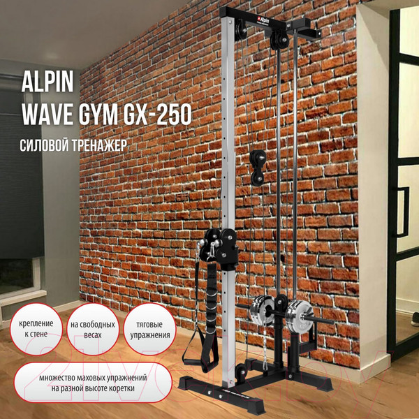Изображение товара Силовой тренажер Alpin Wave GYM GX-250