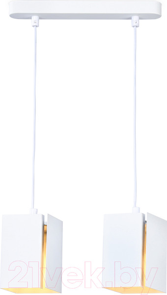 Изображение товара Потолочный светильник Ambrella Techno Spot TN5131/2 WH (белый)