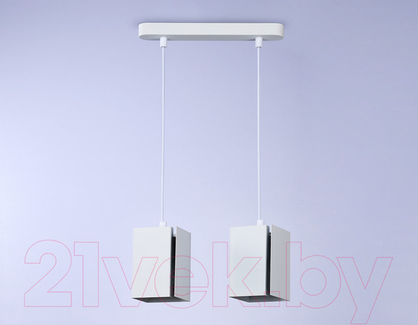 Изображение товара Потолочный светильник Ambrella Techno Spot TN5131/2 WH (белый)