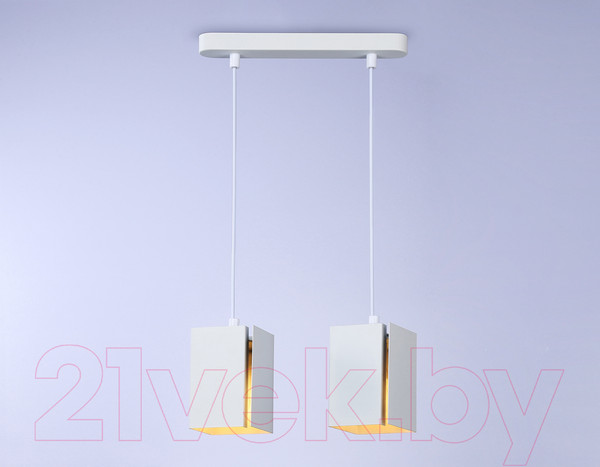 Изображение товара Потолочный светильник Ambrella Techno Spot TN5131/2 WH (белый)