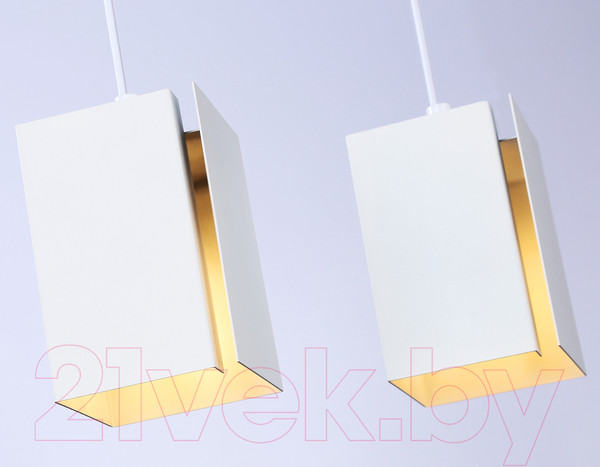 Изображение товара Потолочный светильник Ambrella Techno Spot TN5131/2 WH (белый)