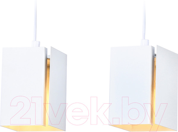 Изображение товара Потолочный светильник Ambrella Techno Spot TN5131/2 WH (белый)