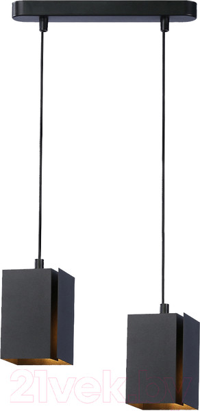 Изображение товара Потолочный светильник Ambrella Techno Spot TN5133/2 BK (черный)