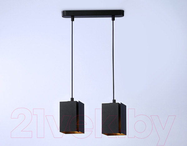 Изображение товара Потолочный светильник Ambrella Techno Spot TN5133/2 BK (черный)