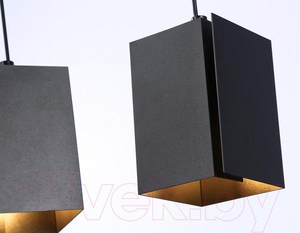 Изображение товара Потолочный светильник Ambrella Techno Spot TN5133/2 BK (черный)