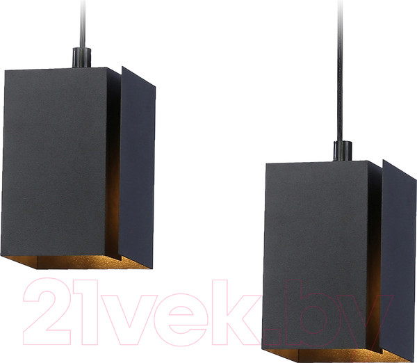 Изображение товара Потолочный светильник Ambrella Techno Spot TN5133/2 BK (черный)