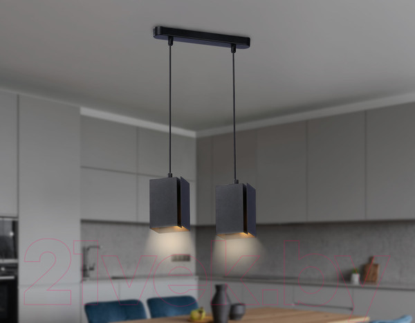 Изображение товара Потолочный светильник Ambrella Techno Spot TN5133/2 BK (черный)