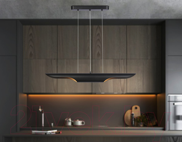 Изображение товара Потолочный светильник Ambrella Techno Spot TN5157/2 BK (черный)