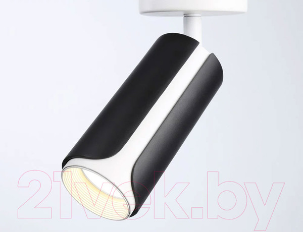 Изображение товара Спот Ambrella Techno Spot TN51594 BK/WH (черный/белый)