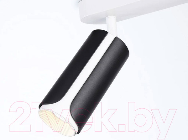 Изображение товара Спот Ambrella Techno Spot TN51598/2 BK/WH (черный/белый)