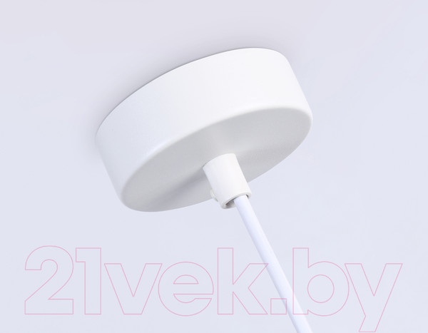 Изображение товара Потолочный светильник Ambrella Techno Spot TN51611 BK/WH (черный/белый)