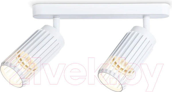 Изображение товара Спот Ambrella Techno Spot TN51682/2 WH (белый)