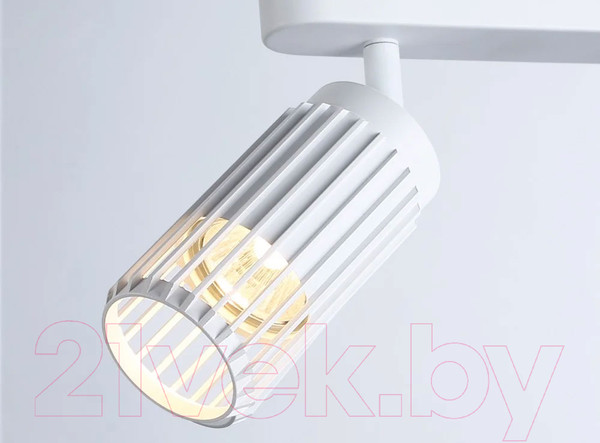 Изображение товара Спот Ambrella Techno Spot TN51682/2 WH (белый)