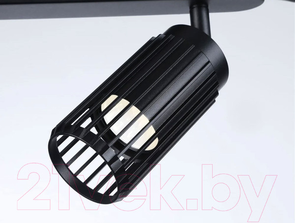 Изображение товара Спот Ambrella Techno Spot TN51685/2 BK (черный)