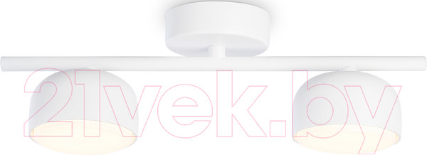 Изображение товара Потолочный светильник Ambrella Techno Spot TN71022/2 WH (белый)