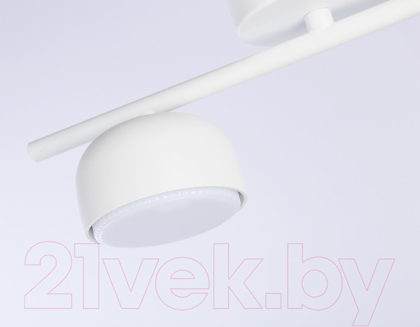 Изображение товара Потолочный светильник Ambrella Techno Spot TN71022/2 WH (белый)