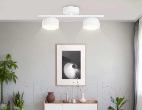 Изображение товара Потолочный светильник Ambrella Techno Spot TN71022/2 WH (белый)